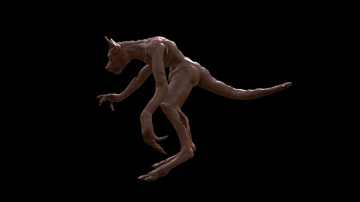 Creature design brief 3D Model