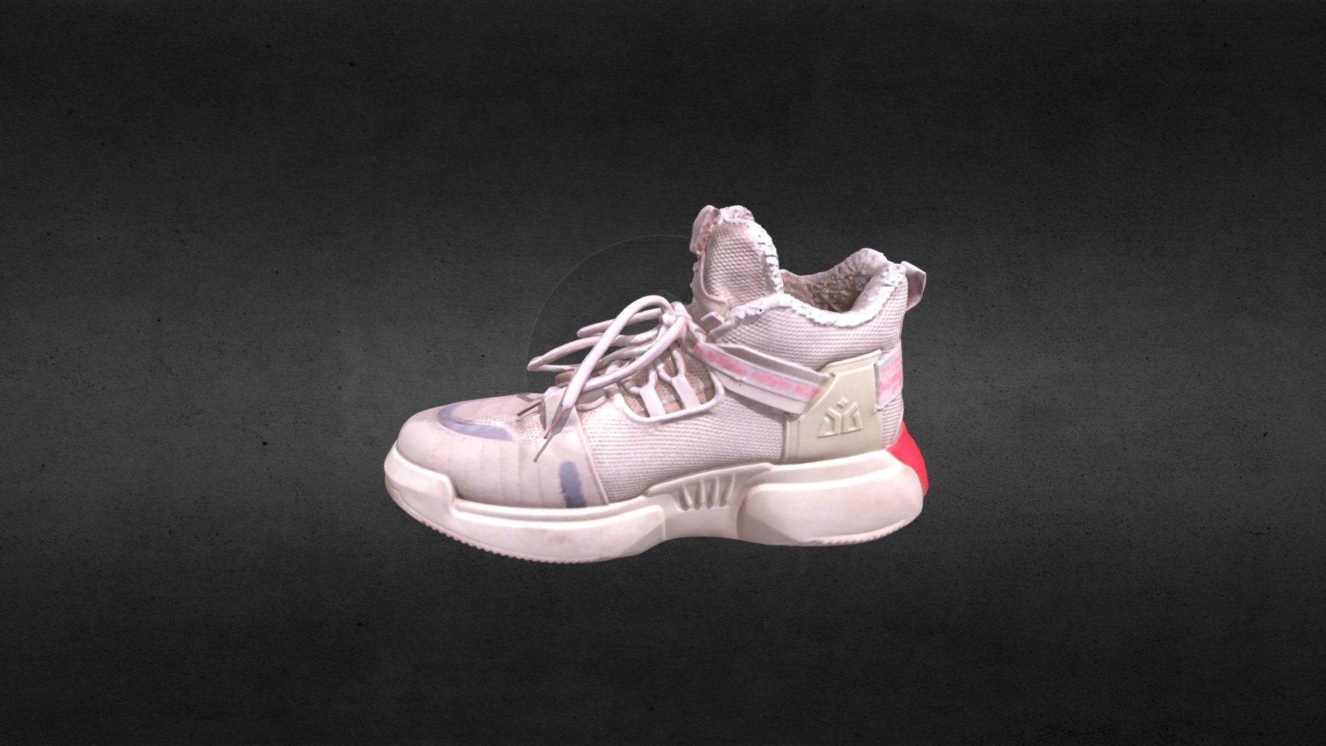Shoe2