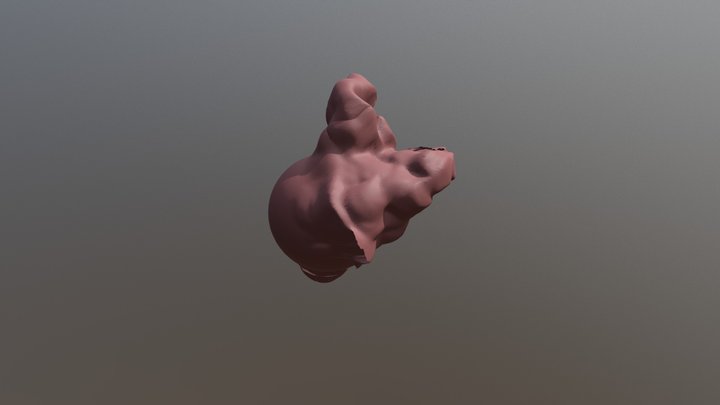 Orphious Heart 3D Model