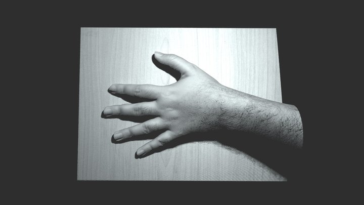 Handscan 3D models - Sketchfab