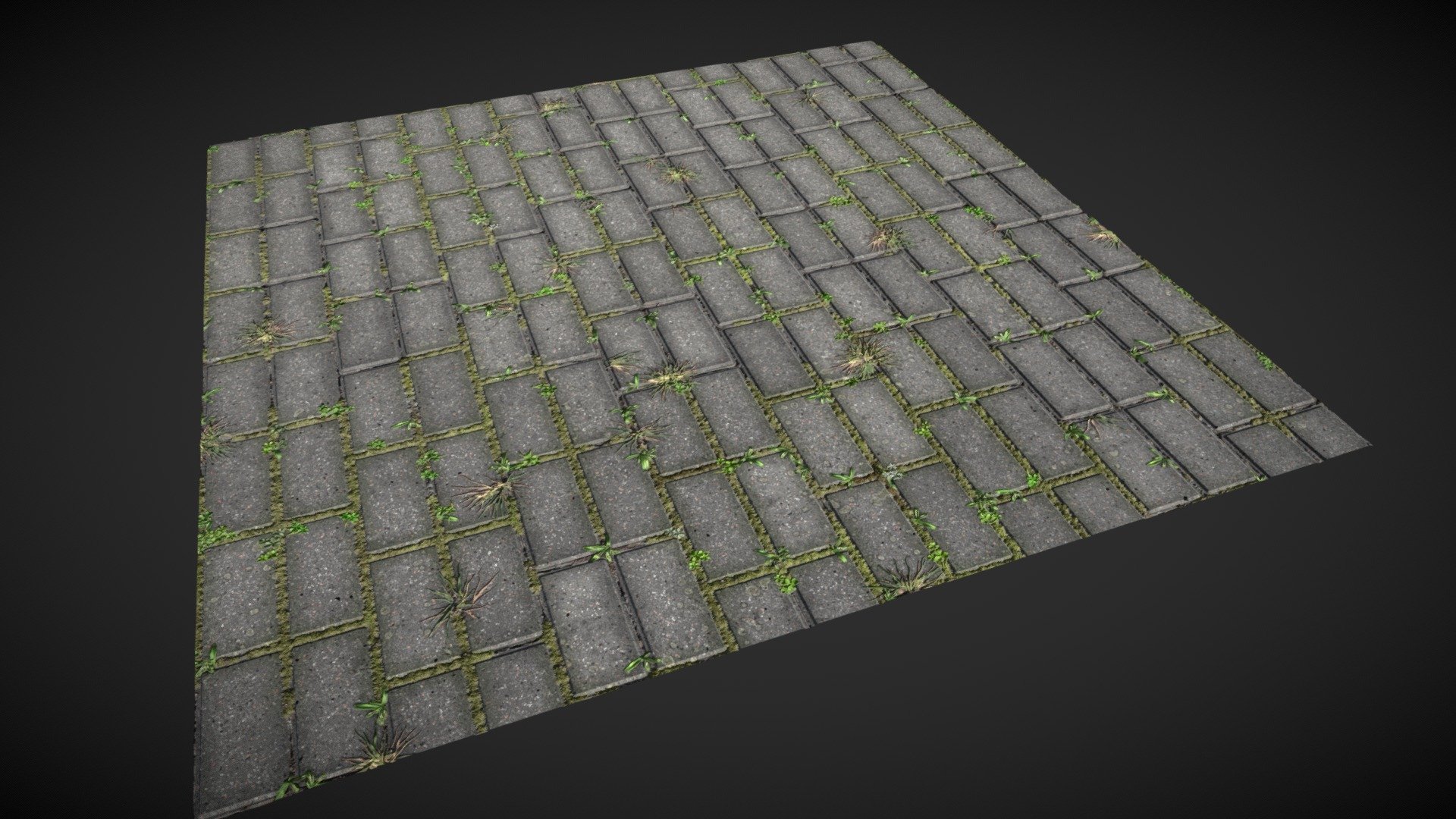 Paving Slabs with Grass 3D model by id13 [efff6c3] Sketchfab