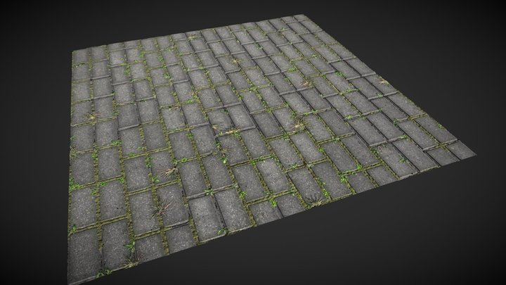 Paving Slabs with Grass 3D Model