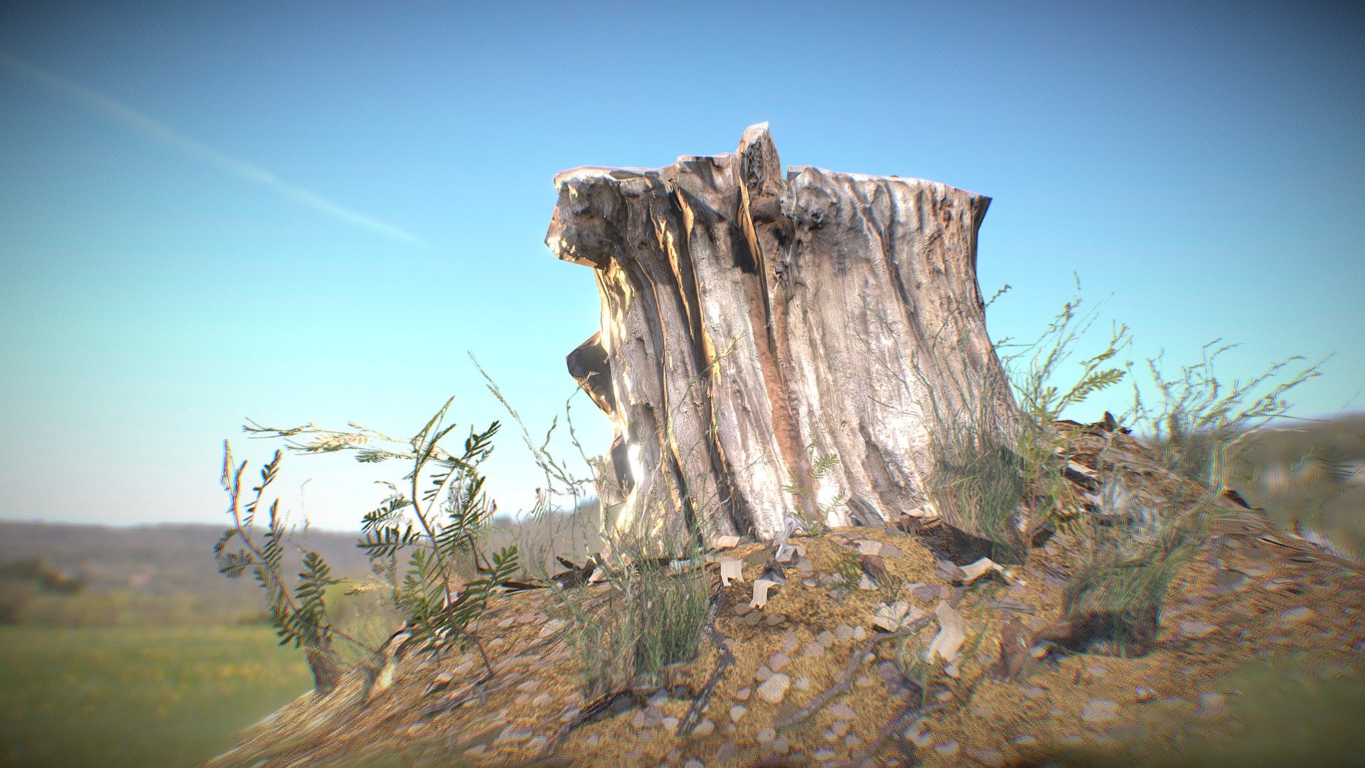 Rough tree stump