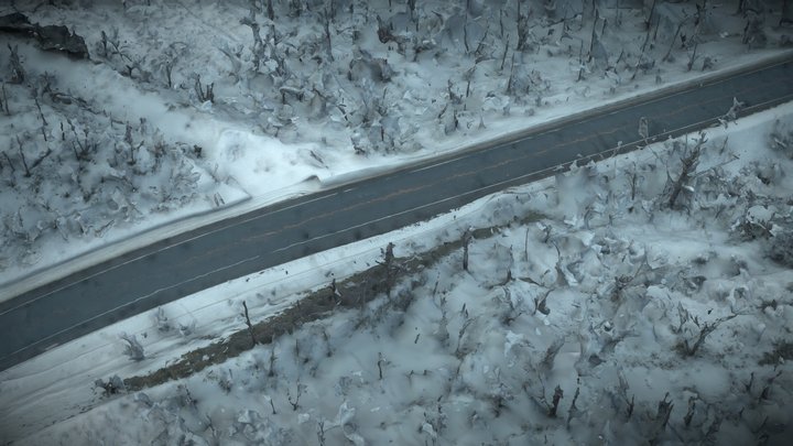 Hokkaido snowfield, mountain road and forest – Modelo 3D gratuito STL