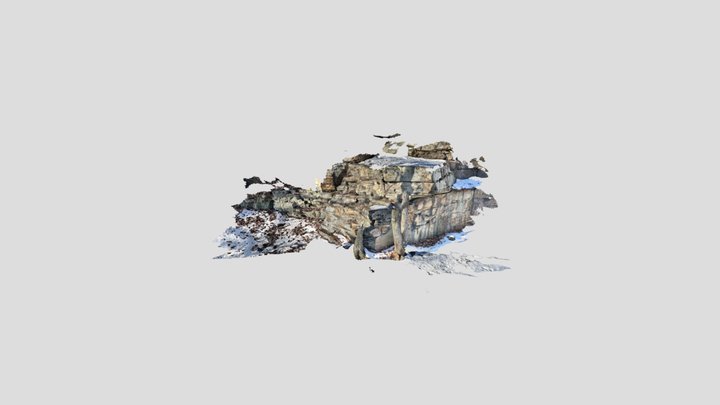 Untitled Scan 3D Model