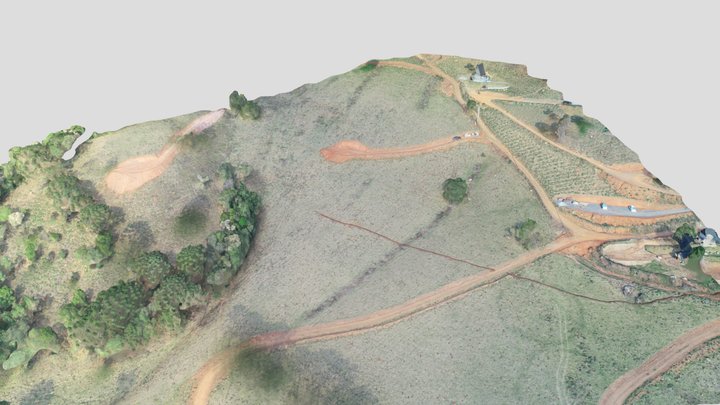 01 dani_simplified_3d_mesh 3D Model