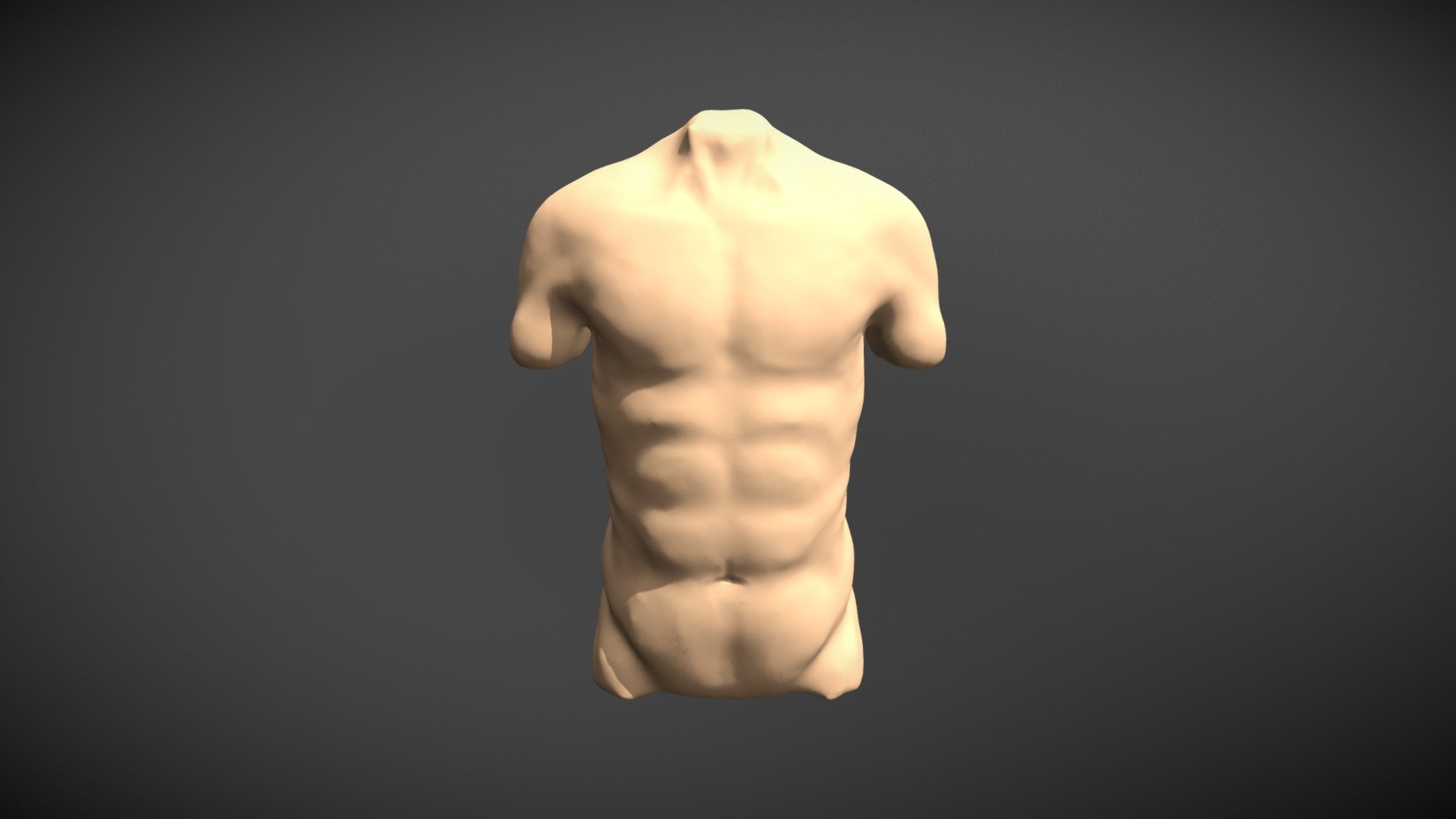 Male Torso Study - 3d Model By Rafaelvital [f00cdbd] - Sketchfab