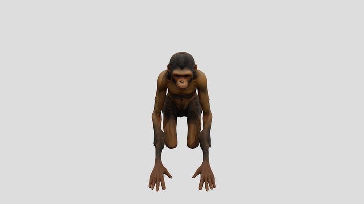 Donna Neanderthal 3D Model