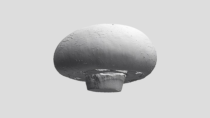 Mushroom - Ultra-Realistic 3D Print Model 3D Model