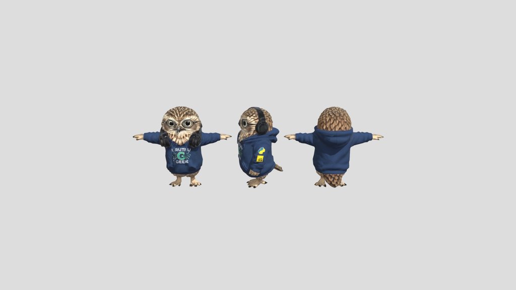 Coding Owl in a Hoodie