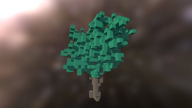Young Elm Tree 3D Model