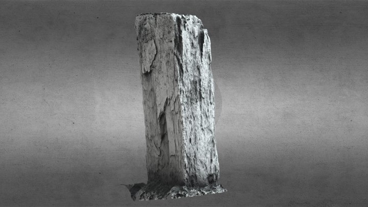 Corkcoco 3D models - Sketchfab