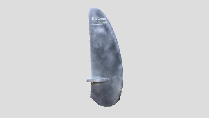 Gong XL-T dry shampoo scan. 3D Model