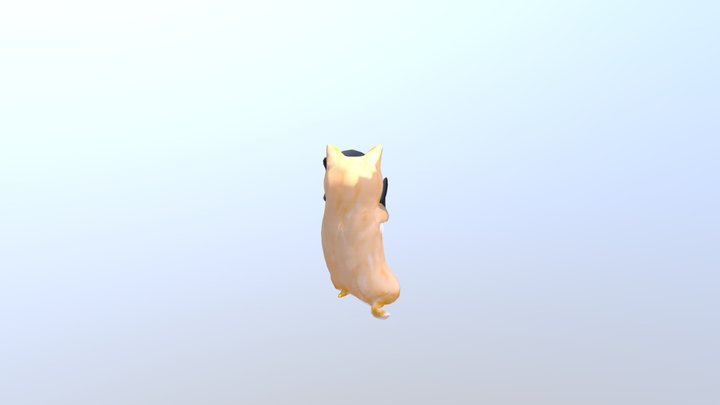 Fight 3D Model