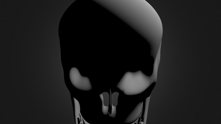 Skull 3D Model
