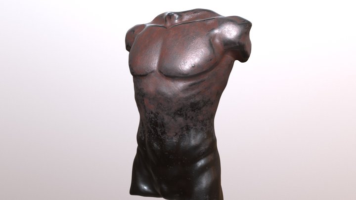 Torso Male #SculptJanuary18 3D Model