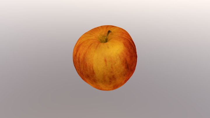 Archive 3D Model