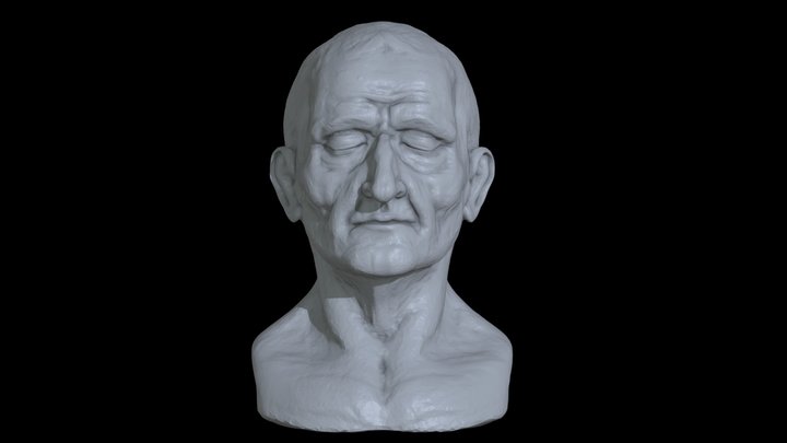 Old Man Face sculpt 3D Model