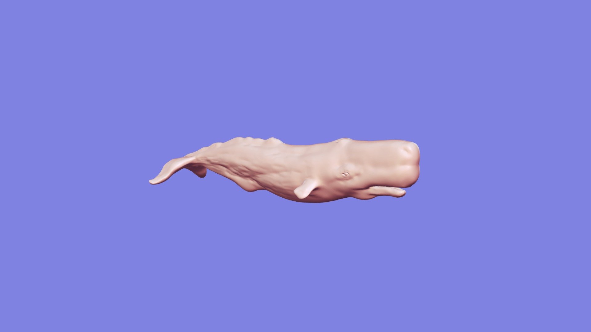Whale_t