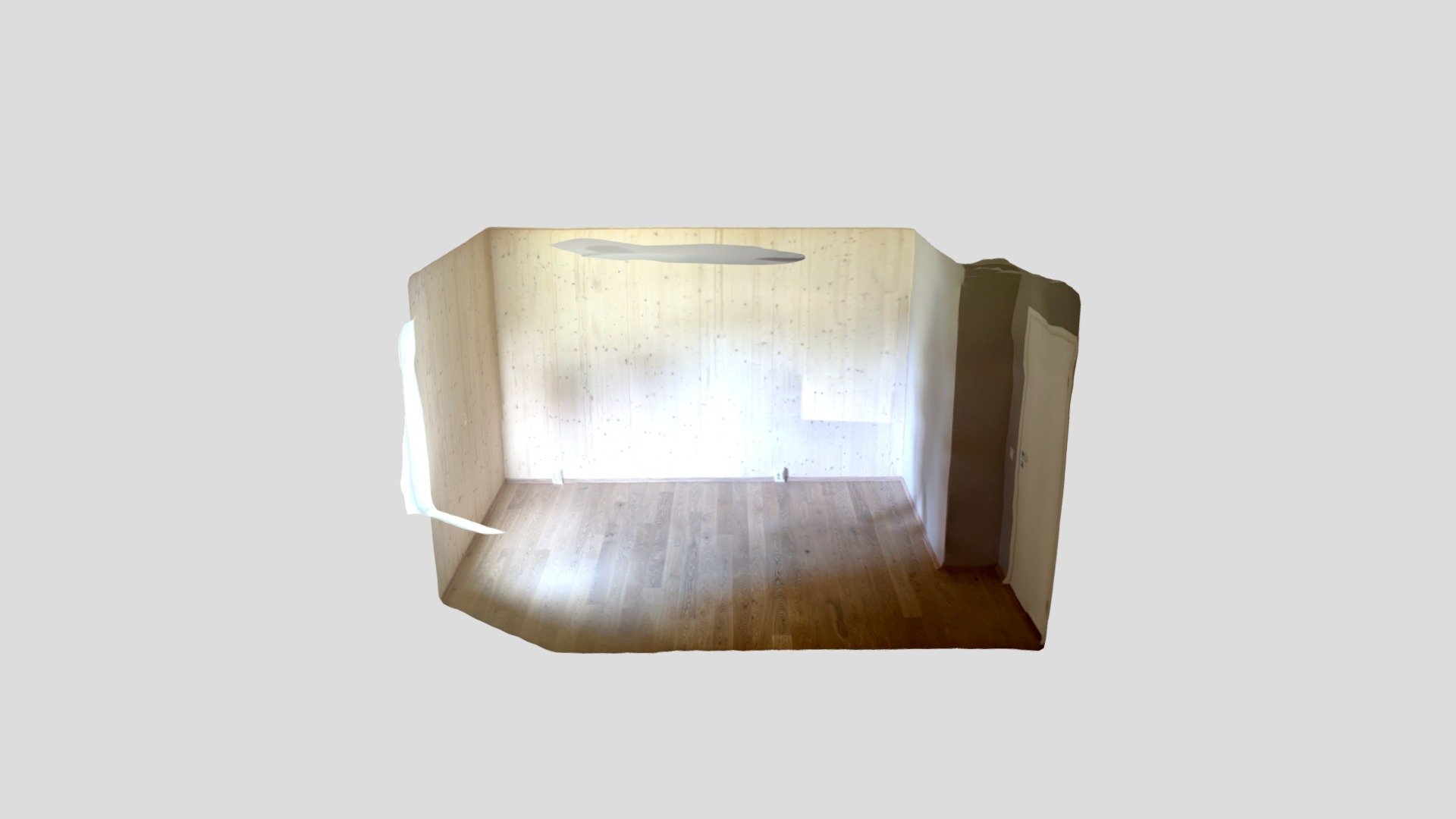 Polycam capture