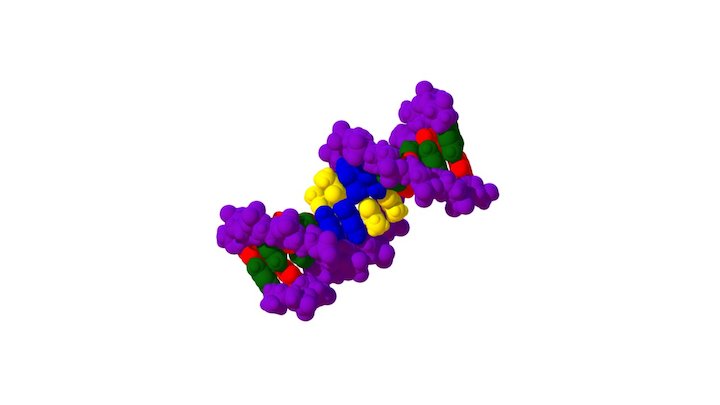 DNA 3D Model