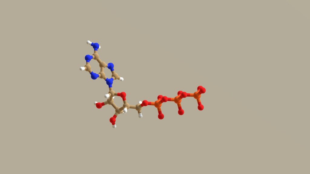 ATP bs - 3D model by ceiticb [f028ed3] - Sketchfab