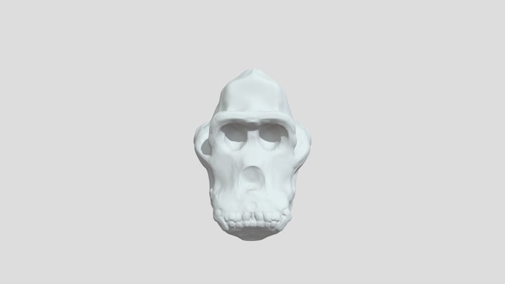 Gorilla Skull 3D Model