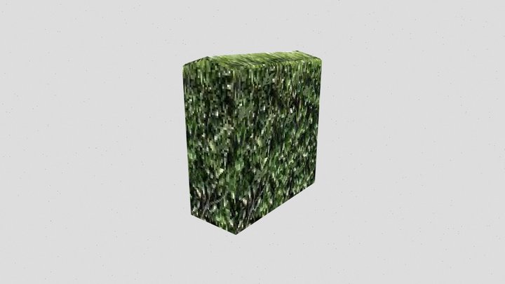 psx style hedge 3D Model