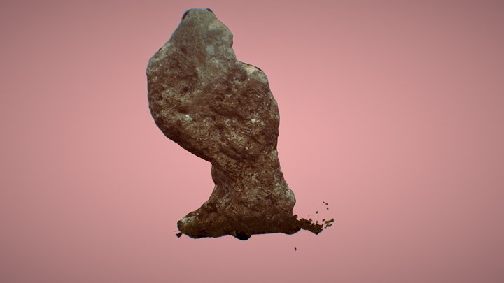 The King Stone (Rollright Stones, Oxfordshire) 3D Model