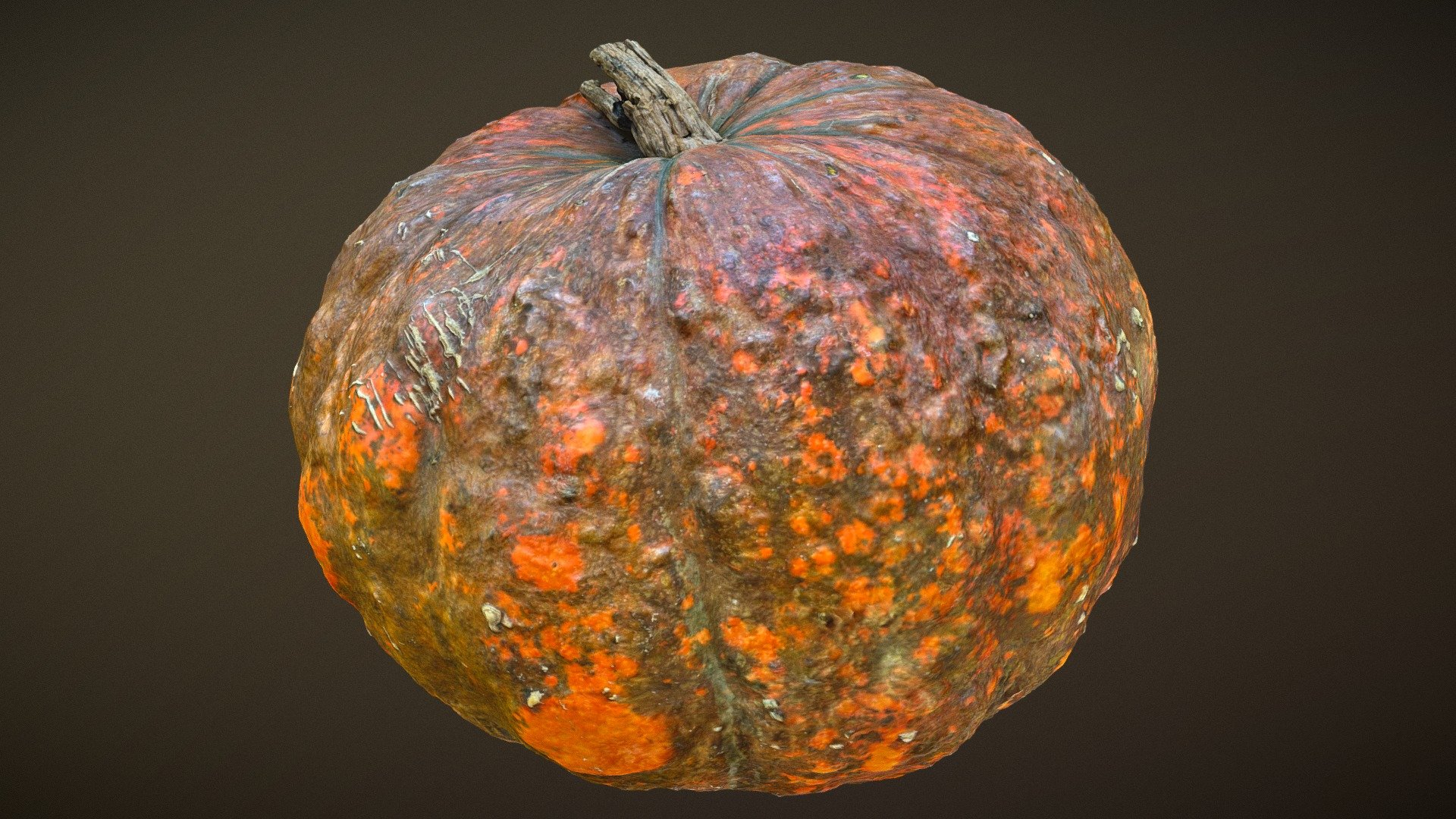 Green Pumpkin (6 mos later)