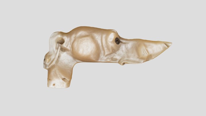 Nacre Handle (NHMW-ZOO-MO-0081100-ETH-069) 3D Model
