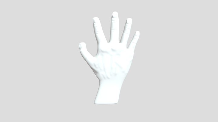 3D Hand 3D Model