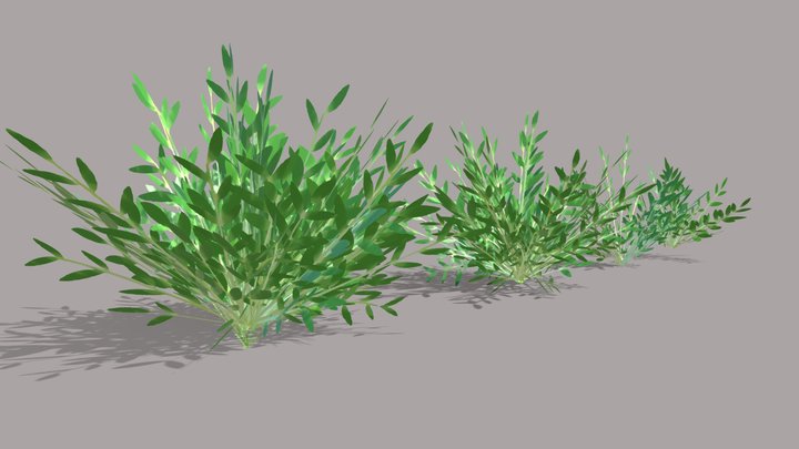 grass variant 2 3D Model