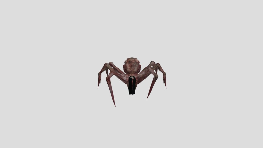 Spider Animated