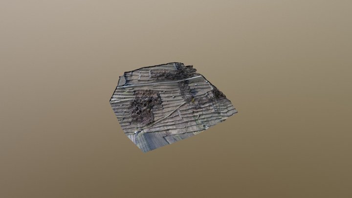 Vigna Gennaio 2018 - 3D Model 3D Model