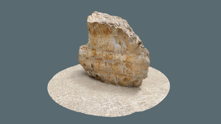 Monterey Shale 3D Model