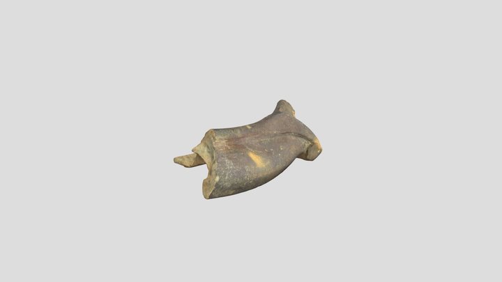 Pot 2 (Polycam) 3D Model