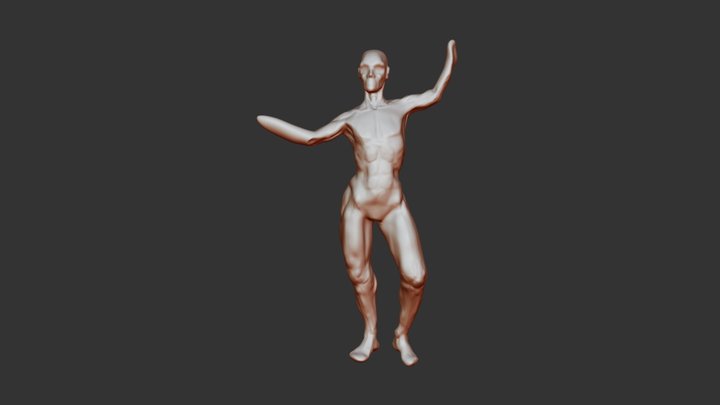 Female body practice 3D Model