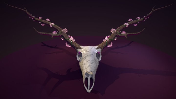 Skull 3D Model