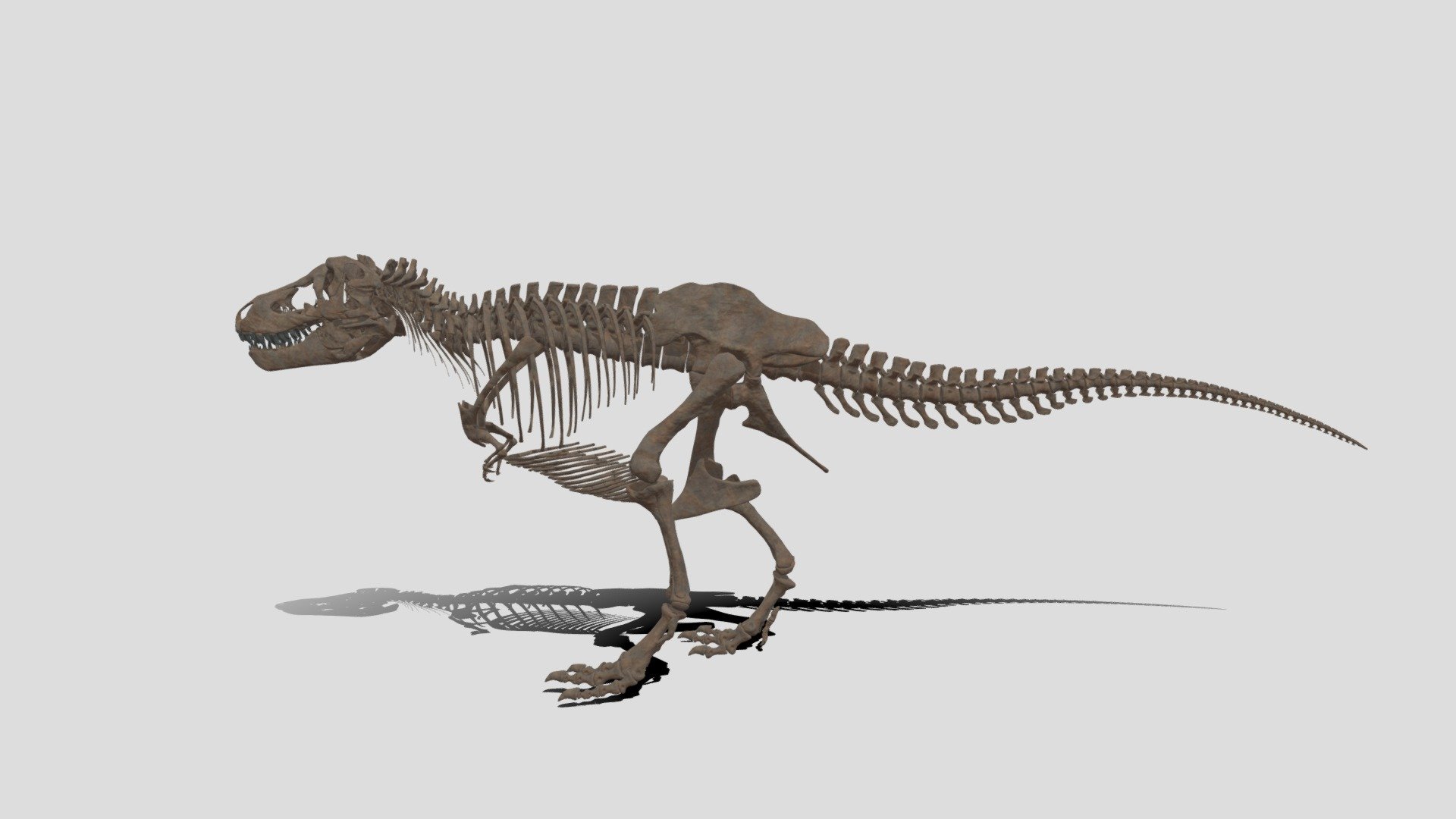 VxRダイナソーⒸ ティラノサウルス - 3D model by