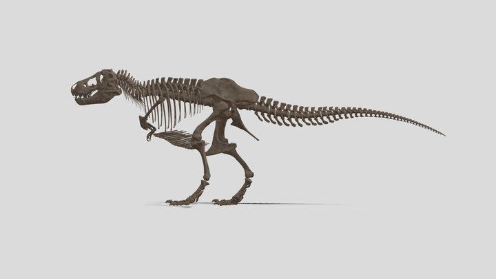 VxRダイナソーⒸ　ティラノサウルス 3D Model