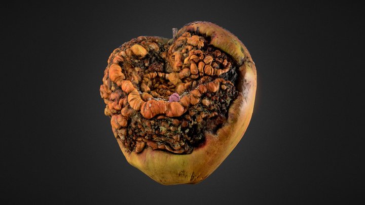 Sweet Apple 3D Model