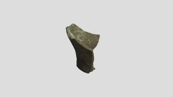 Base Cerámica 3D Model