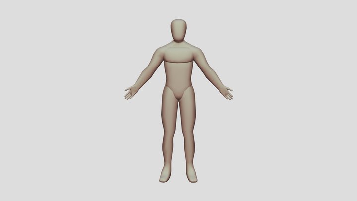 humano_grupos_musculares 3D Model