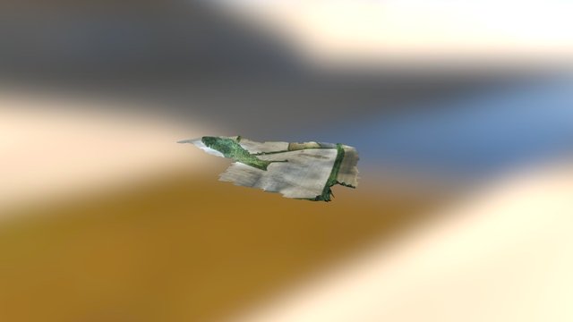 OSR 3D Model