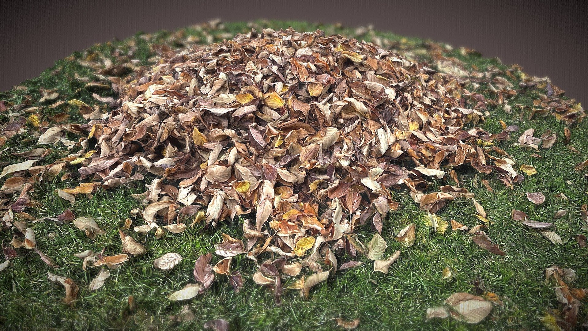 Autumn Leaf Pile
