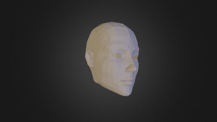 Head 3D Model