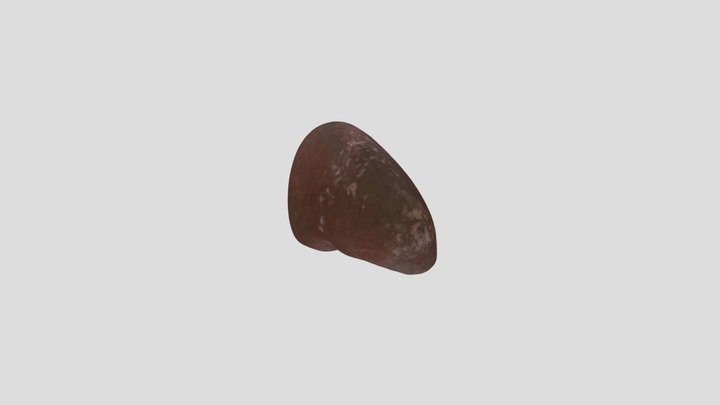 ОФ155!! 3D Model