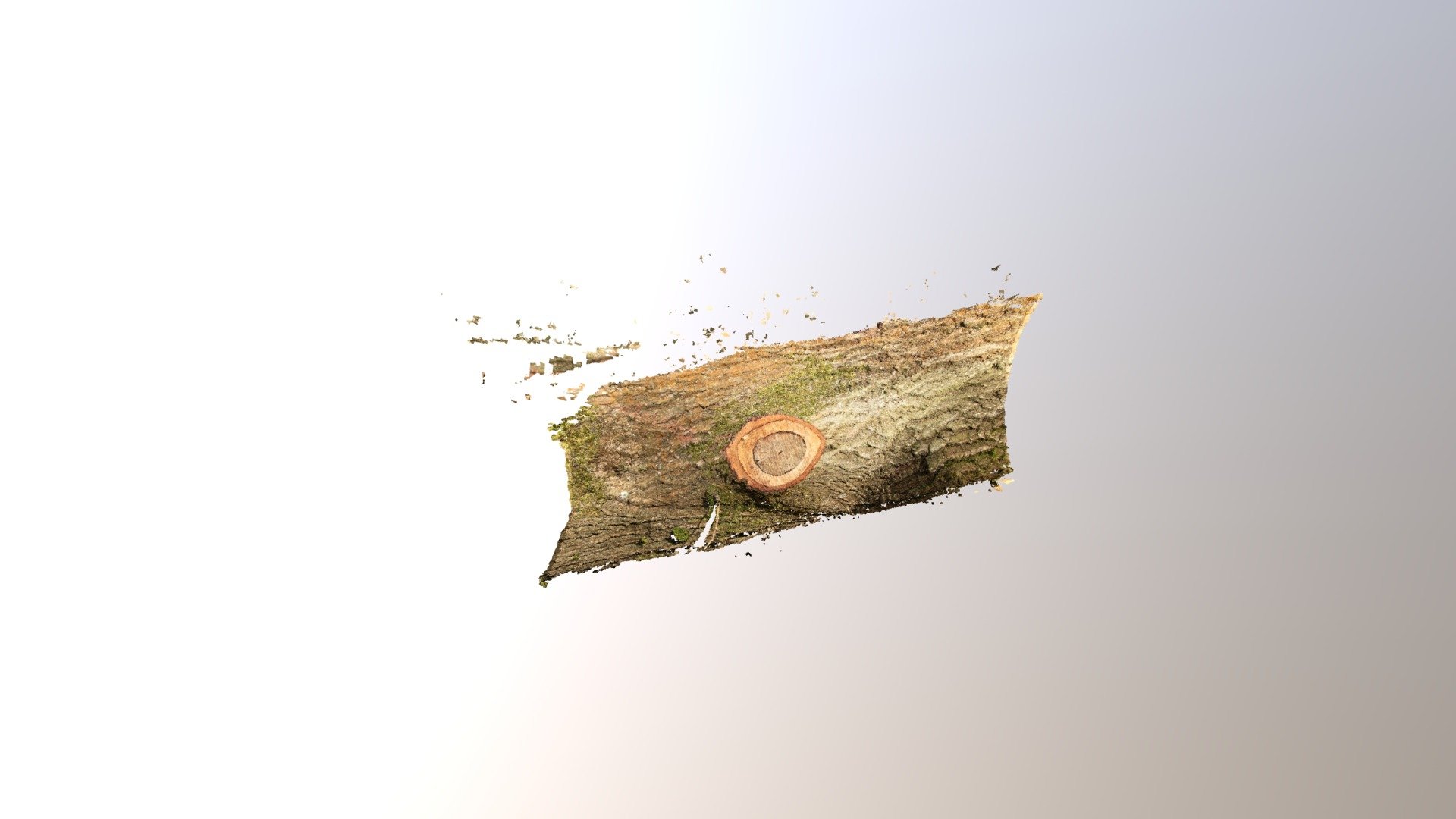 Antoher log