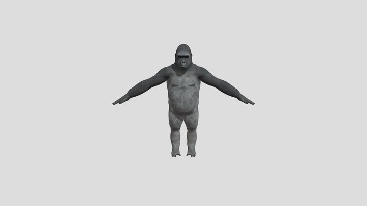 Gorilla 3D Model